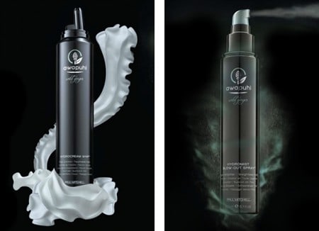 Cutting Loose Hair Salons Paul Mitchell Awapuhi Wild Ginger Hydromist Blow Out Spray Hydrocream Whip